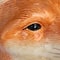 Hello Honey® 11" Orange Hand-Painted Decorative Stoneware Fox Vase